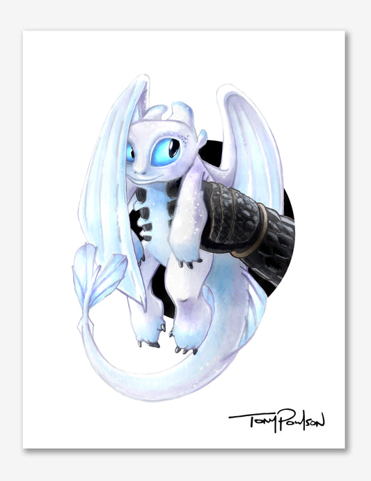 L1GHT FURY / H1CCUP PRINT